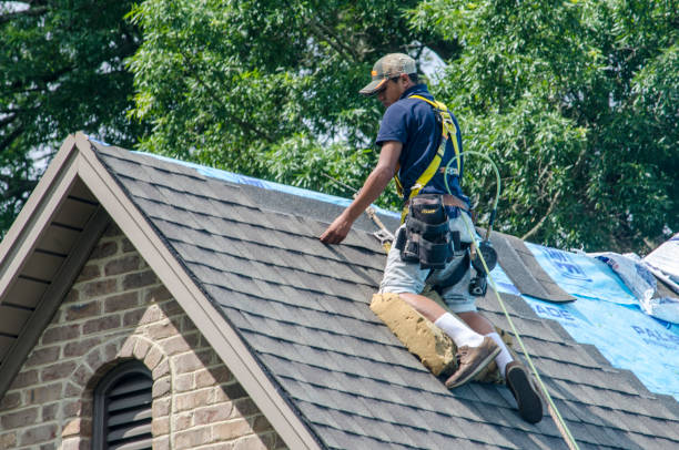 Best Storm Damage Roof Repair  in Amity Gardens, PA